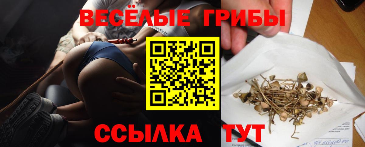 Псилоцибиновые грибы Cubensis  Вход с VPN  Псилоцибиновые грибы мицелий  Ставрополь 